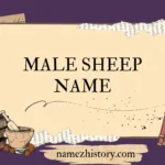 male sheep name