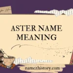 aster name meaning