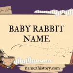 baby rabbit name
