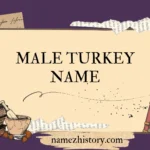 male turkey name