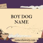 boy dog name