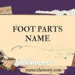 foot parts name