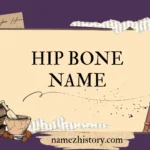 hip bone name